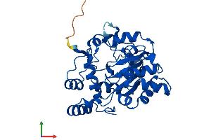 Protein Structure (PS) image for Sulfotransferase Family, Cytosolic, 1C, Member 2 (SULT1C2) (AA 1-296) protein (His tag) (ABIN7544031)