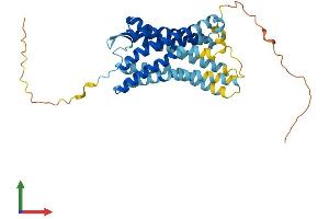 AlphaFold protein structure predicition of Human Recombinant CCR10 Protein, UniprotID P46092