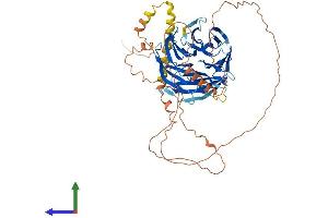AlphaFold protein structure predicition of Mouse Recombinant Tle6 Protein, UniprotID Q9WVB3