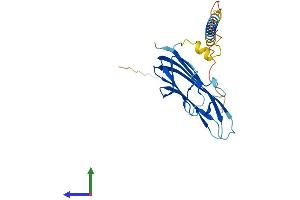 Protein Structure (PS) image for Tumor Necrosis Factor (Ligand) Superfamily, Member 8 (TNFSF8) (AA 1-239) protein (His tag) (ABIN7563138)