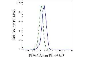 Validation of PUM2 knockdown using flow cytometry.