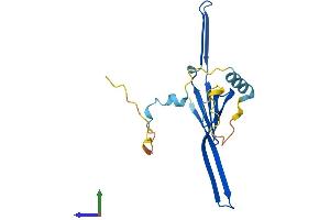 Protein Structure (PS) image for Titin-Cap (Telethonin) (TCAP) (AA 1-167) protein (His tag) (ABIN7544368)