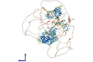 Protein Structure (PS) image for Pogo Transposable Element with ZNF Domain (POGZ) (AA 1-1410) protein (His tag) (ABIN7555046)