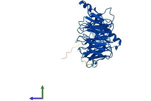 Protein Structure (PS) image for Guanine Nucleotide Binding Protein (G Protein), beta 5 (GNB5) (AA 1-395) protein (His tag) (ABIN7547847)