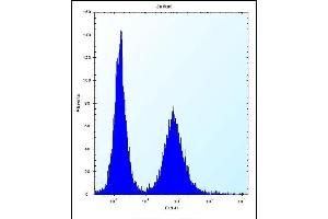 RPL11 Antibody (N-term) (ABIN656287 and ABIN2845596) flow cytometric analysis of Jurkat cells (right histogram) compared to a negative control cell (left histogram). (RPL11 抗体  (N-Term))