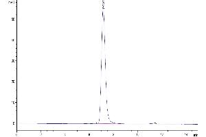 Size-exclusion chromatography-High Pressure Liquid Chromatography (SEC-HPLC) image for CD300a (CD300A) (AA 28-185) protein (Fc Tag) (ABIN7274286)
