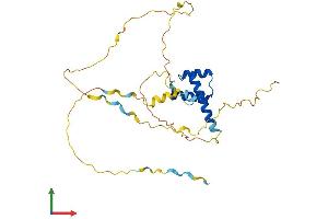Protein Structure (PS) image for Pancreatic and Duodenal Homeobox 1 (PDX1) (AA 1-283) protein (His tag) (ABIN7550639)
