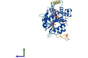 Protein Structure (PS) image for NDRG Family Member 4 (NDRG4) (AA 1-352) protein (His tag) (ABIN7549652)