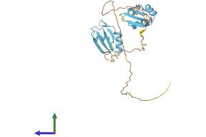 Protein Structure (PS) image for serine/arginine-Rich Splicing Factor 5 (SRSF5) (AA 1-269) protein (His tag) (ABIN7562303)