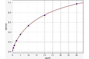 PTPN1 ELISA 试剂盒