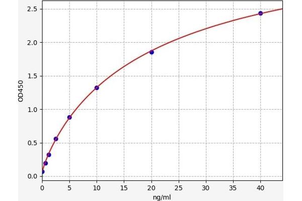 PTPN1 ELISA 试剂盒