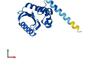Protein Structure (PS) image for Adaptor-Related Protein Complex 1, sigma 3 Subunit (AP1S3) (AA 1-154) protein (His tag) (ABIN7552165)