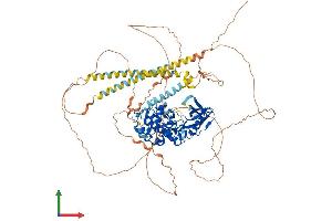 Protein Structure (PS) image for Myosin Light Chain Kinase 3 (MYLK3) (AA 1-819) protein (His tag) (ABIN7549613)