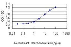 Detection limit for recombinant GST tagged CILP is approximately 0. (CILP 抗体  (AA 129-226))