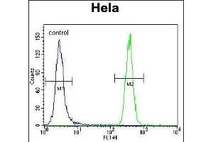 HS Antibody (ABIN388133 and ABIN2846370) flow cytometric analysis of Hela cells (right histogram) compared to a negative control cell (left histogram).