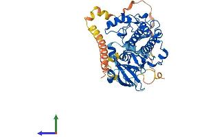 Protein Structure (PS) image for serum/glucocorticoid Regulated Kinase 1 (SGK1) (AA 1-431) protein (His tag) (ABIN7565238)