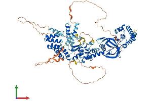 AlphaFold protein structure predicition of Human Recombinant LONRF3 Protein, UniprotID Q496Y0