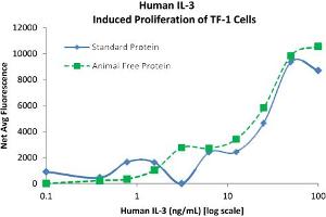 SDS-PAGE of Human Interleukin-3 Recombinant Protein (Animal Free) Bioactivity of Human Interleukin-3 AF Recombinant Protein.
