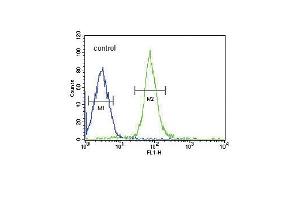 Flow Cytometry (FACS) image for anti-Haptoglobin (HP) (AA 295-322), (Center) antibody (ABIN652875)