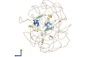 Protein Structure (PS) image for Additional Sex Combs Like 1 (ASXL1) (AA 1-1514) protein (His tag) (ABIN7563481)