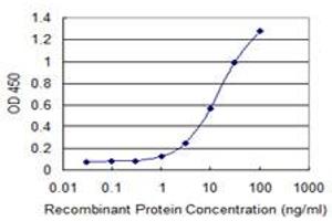 Detection limit for recombinant GST tagged CCDC83 is 0. (CCDC83 抗体  (AA 341-444))