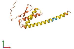 AlphaFold protein structure predicition of Human Recombinant LINC01559 Protein, UniprotID Q495D7