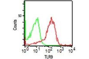 TLR9 Flow Cytometry Flow Cytometry of Mouse Anti-TLR9 antibody. (TLR9 抗体)