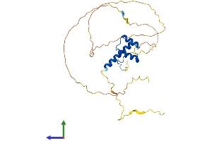 AlphaFold protein structure predicition of Mouse Recombinant Hoxb1 Protein, UniprotID P17919