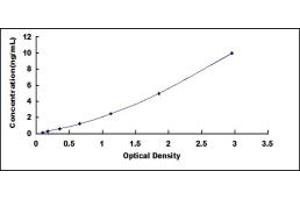 Typical standard curve (F2RL1 ELISA 试剂盒)