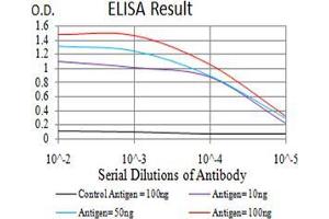 Black line: Control Antigen (100 ng);Purple line: Antigen (10ng); Blue line: Antigen (50 ng); Red line:Antigen (100 ng) (SYK 抗体  (AA 217-356))