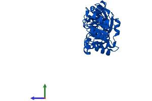 Protein Structure (PS) image for Quinolinate Phosphoribosyltransferase (QPRT) (AA 1-297) protein (His tag) (ABIN7549703)