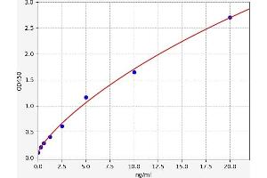 Typical standard curve (KCND3 ELISA 试剂盒)