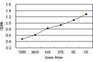 T (Human) Matched Antibody Pair