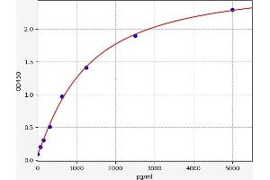 Typical standard curve (ADAMTS12 ELISA 试剂盒)