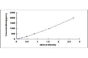 ELISA image for Matrix Metallopeptidase 1 (Interstitial Collagenase) (MMP1) ELISA Kit (ABIN4947848)