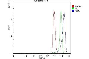 Flow Cytometry analysis of Hela cells using anti-ERp72/PDIA4 antibody (ABIN7602103).