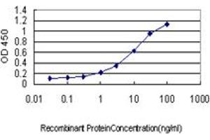 Detection limit for recombinant GST tagged SCAMP3 is approximately 0. (SCAMP3 抗体  (AA 70-169))