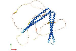Protein Structure (PS) image for SH3-Domain Binding Protein 5 (SH3BP5) (AA 1-455) protein (His tag) (ABIN7551741)