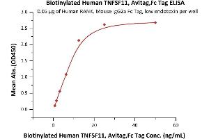 ELISA image for Tumor Necrosis Factor (Ligand) Superfamily, Member 11 (TNFSF11) (AA 64-245) (Active) protein (AVI tag,Fc Tag,Biotin) (ABIN6386415)