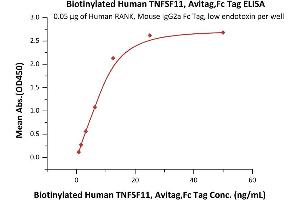 Immobilized Human RANK, Mouse IgG2a Fc Tag, low endotoxin (ABIN5954944,ABIN6253593) at 0. (RANKL Protein (AA 64-245) (AVI tag,Fc Tag,Biotin))