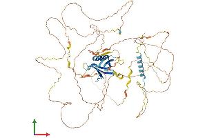 AlphaFold protein structure predicition of Human Recombinant GAB2 Protein, UniprotID Q9UQC2