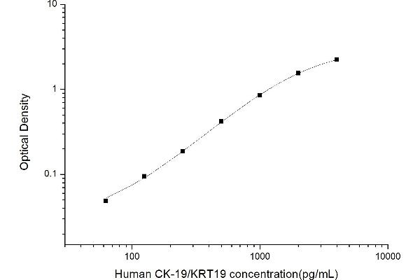 Cytokeratin 19 ELISA 试剂盒