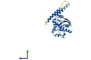 Protein Structure (PS) image for GTPase, IMAP Family Member 6 (GIMAP6) (AA 1-292) protein (His tag) (ABIN7547925)