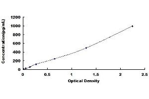Typical standard curve