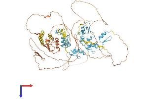 AlphaFold protein structure predicition of Human Recombinant ZBTB47 Protein, UniprotID Q9UFB7