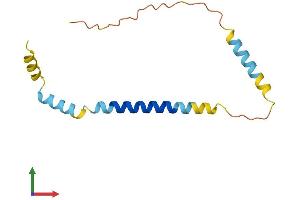 Protein Structure (PS) image for Organic Solute Transporter beta (OSTBETA) (AA 1-128) protein (His tag) (ABIN7558393)