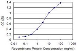 Detection limit for recombinant GST tagged RNF111 is 0. (RNF111 抗体  (AA 1-108))