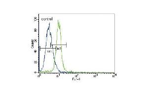 JAK2 Antibody (C-term) (ABIN387982 and ABIN2844820) flow cytometric analysis of K562 cells (right histogram) compared to a negative control (PBS alone) (left histogram). (JAK2 抗体  (C-Term))