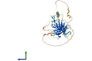 AlphaFold protein structure predicition of Human Recombinant TULP3 Protein, UniprotID O75386