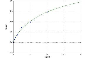 A typical standard curve